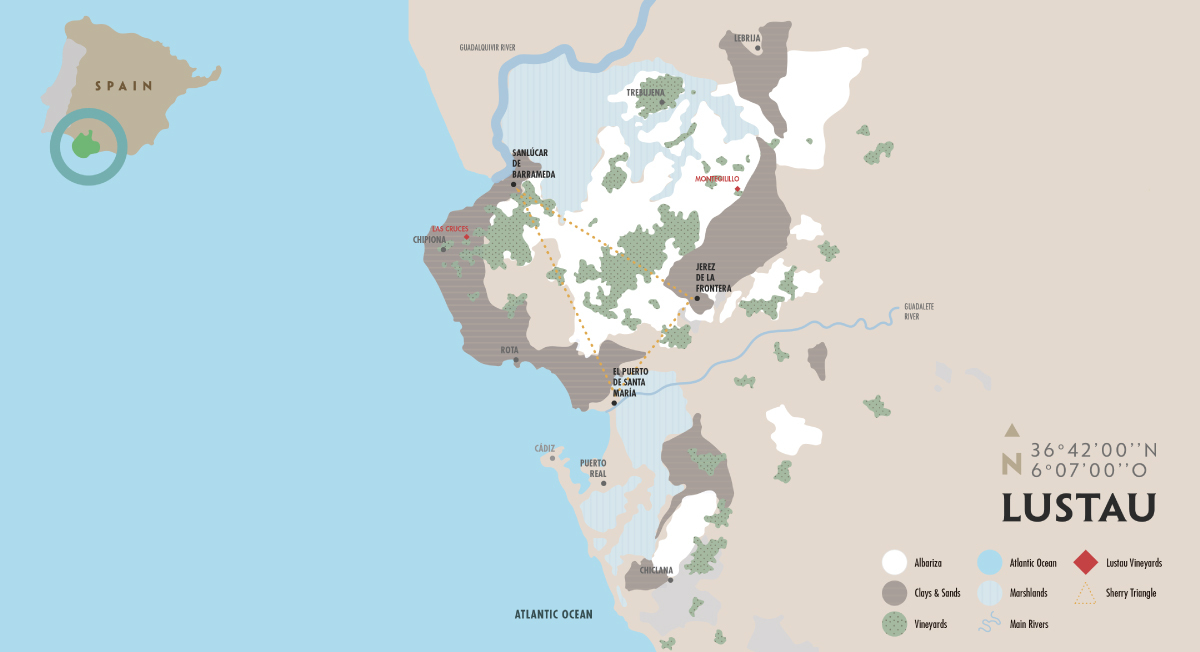 Types of brandy Taste, Origins and pairings
